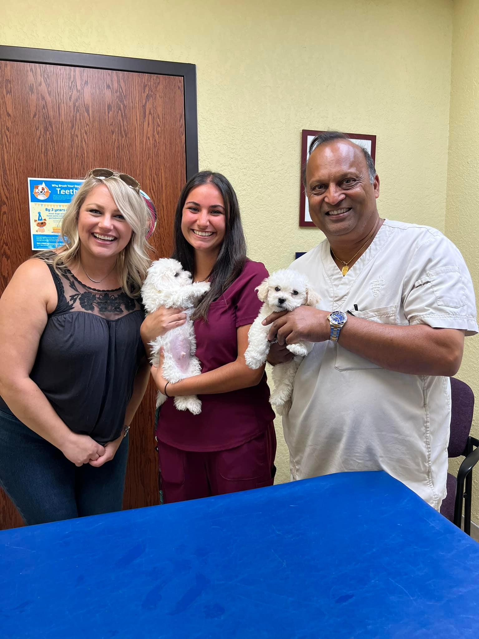 Aboite Animal Clinic & House Call Practice Image