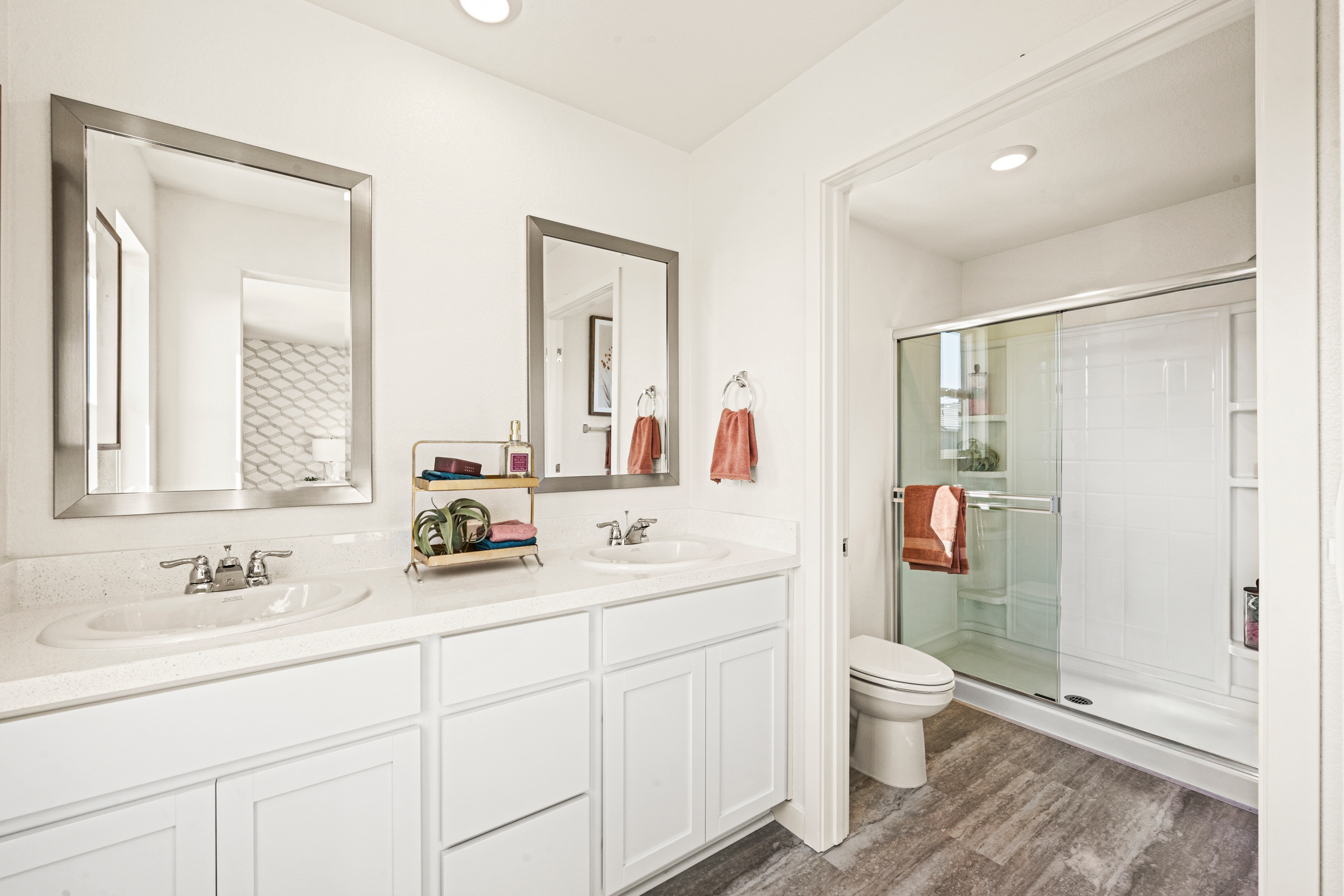 Dragonfly II by D.R. Horton Image