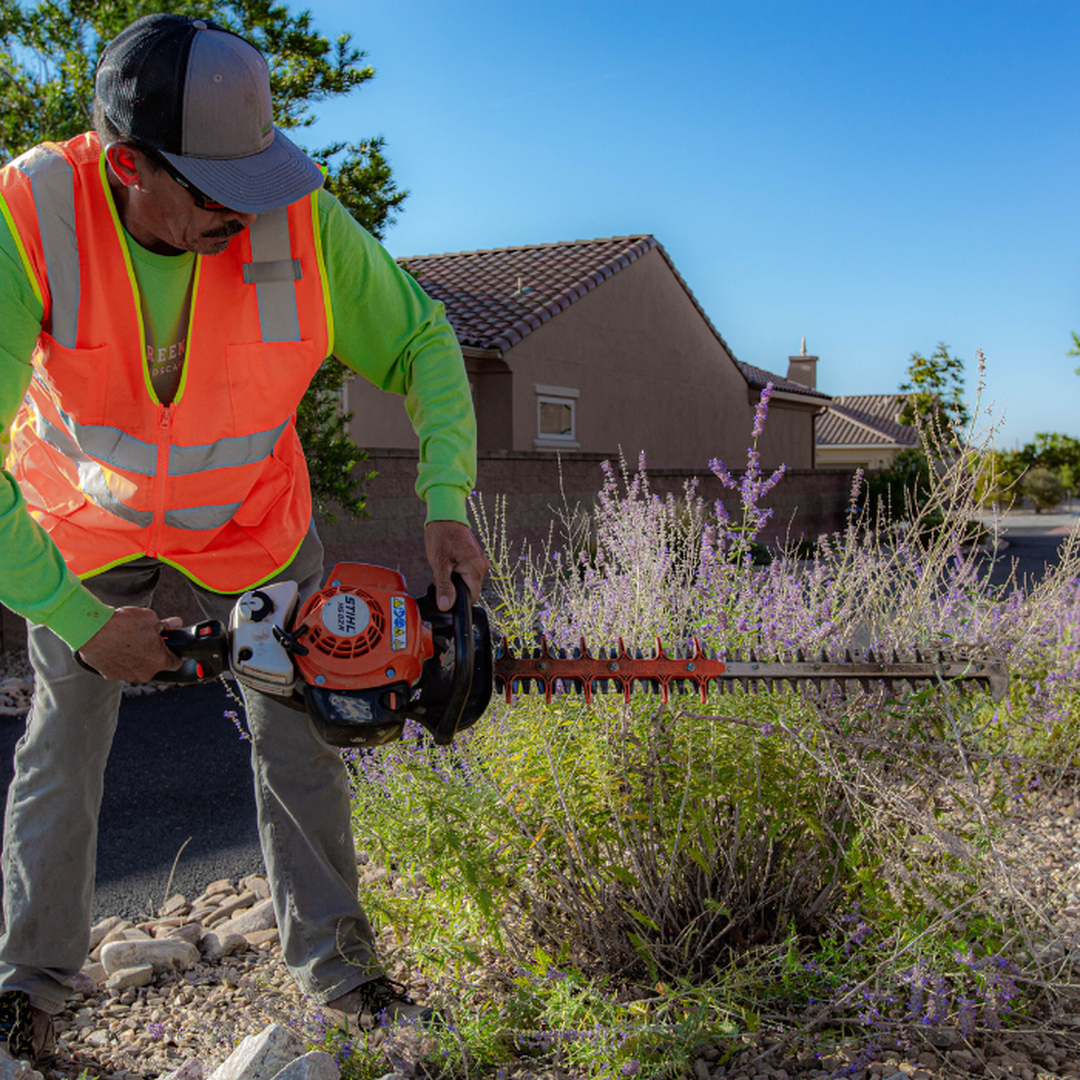 Green Landscape Management Image