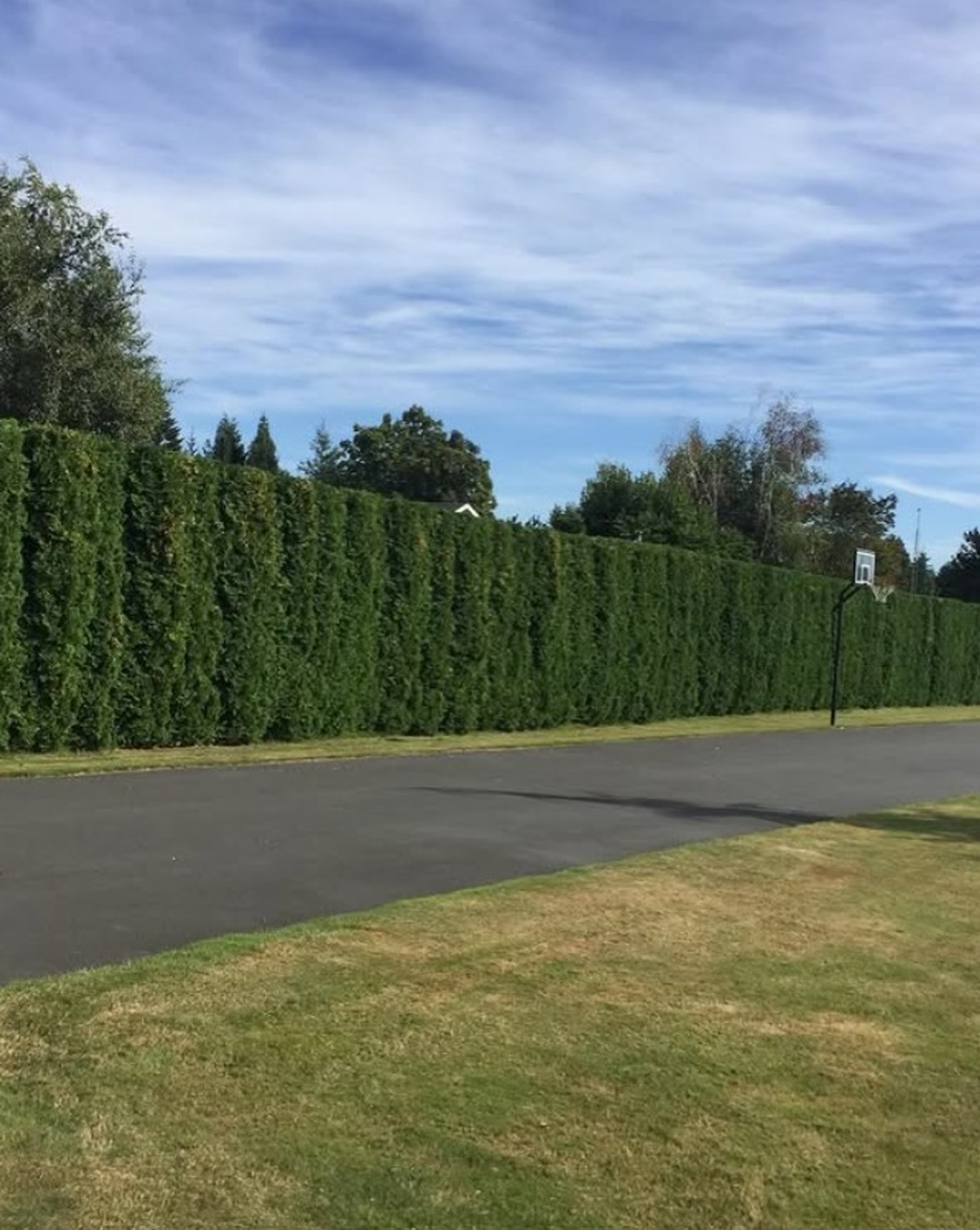 Green Landscape Management Image