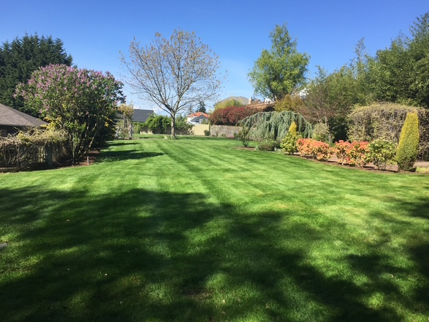 Green Landscape Management Image