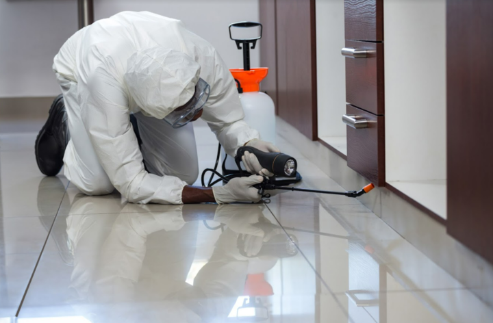 Georgia Bedbug Solutions Image