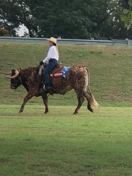 TXPAGES - Stephenville, TX