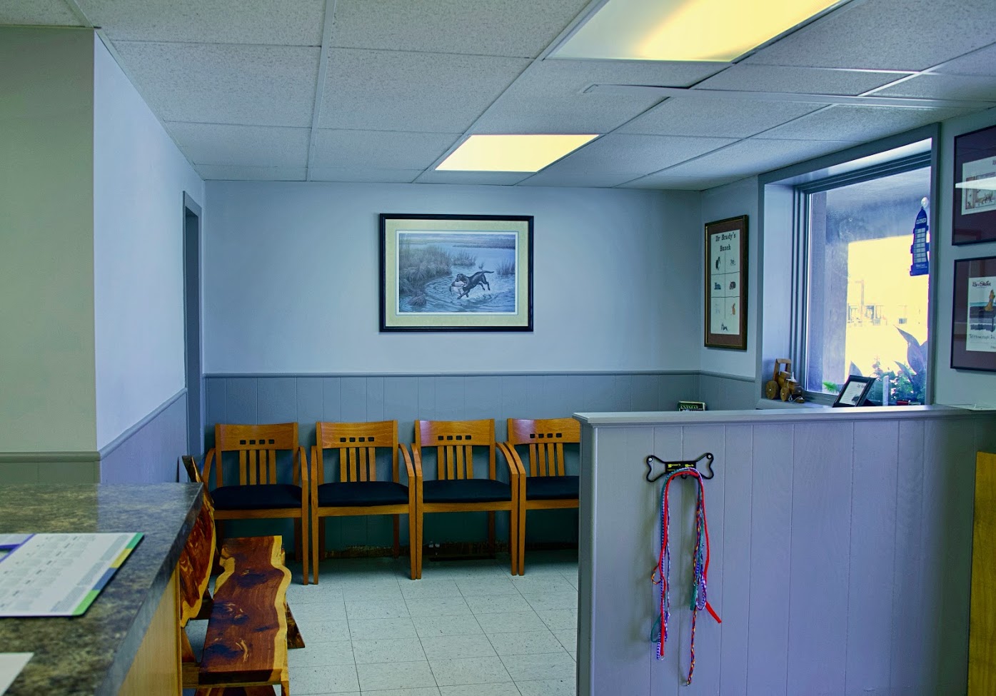 Shenandoah Animal Hospital, Inc. - Shenandoah, IA