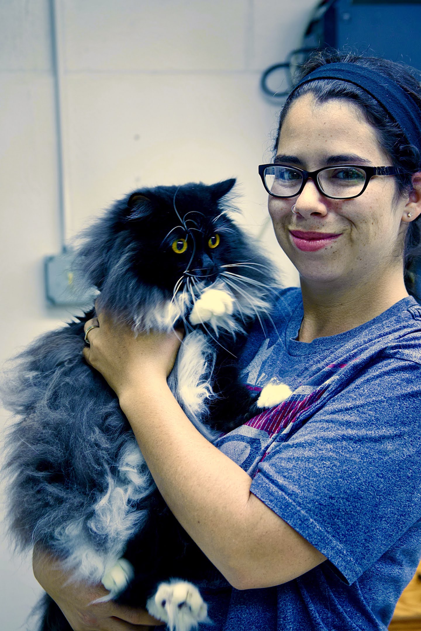 Shenandoah Animal Hospital, Inc. - Shenandoah, IA