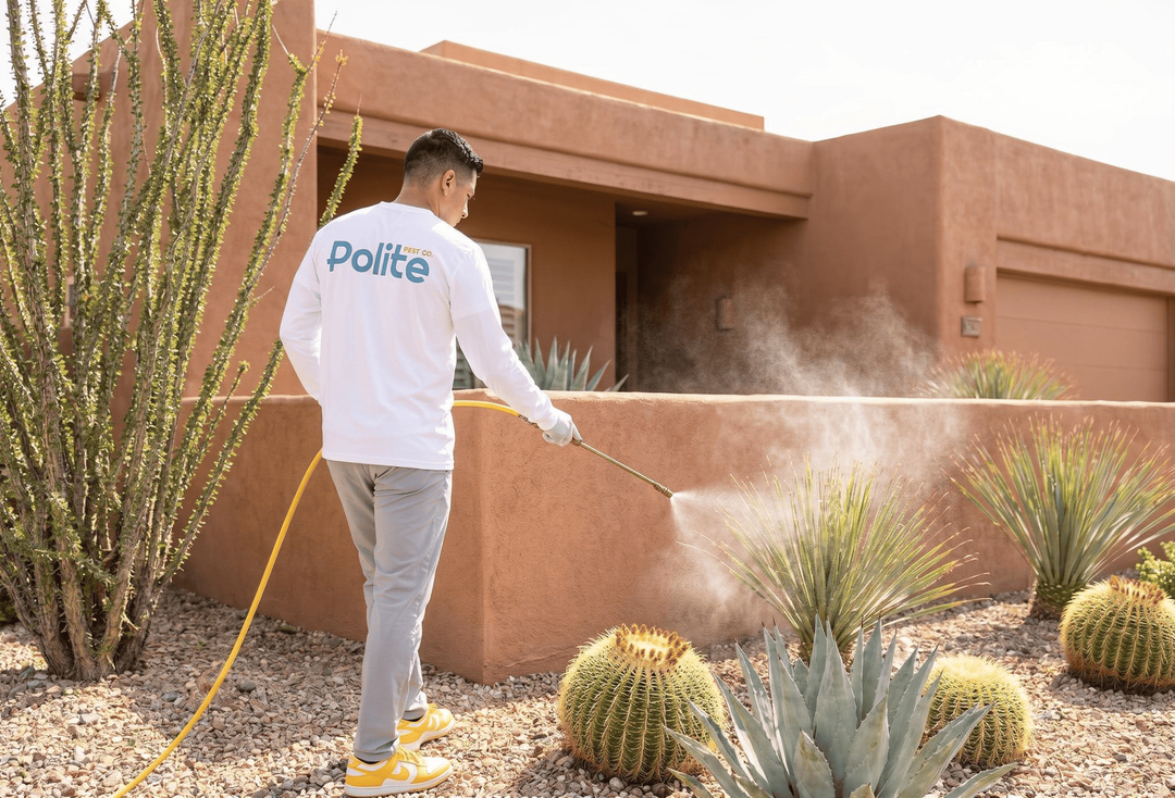 Polite Pest Control - Mesa, AZ