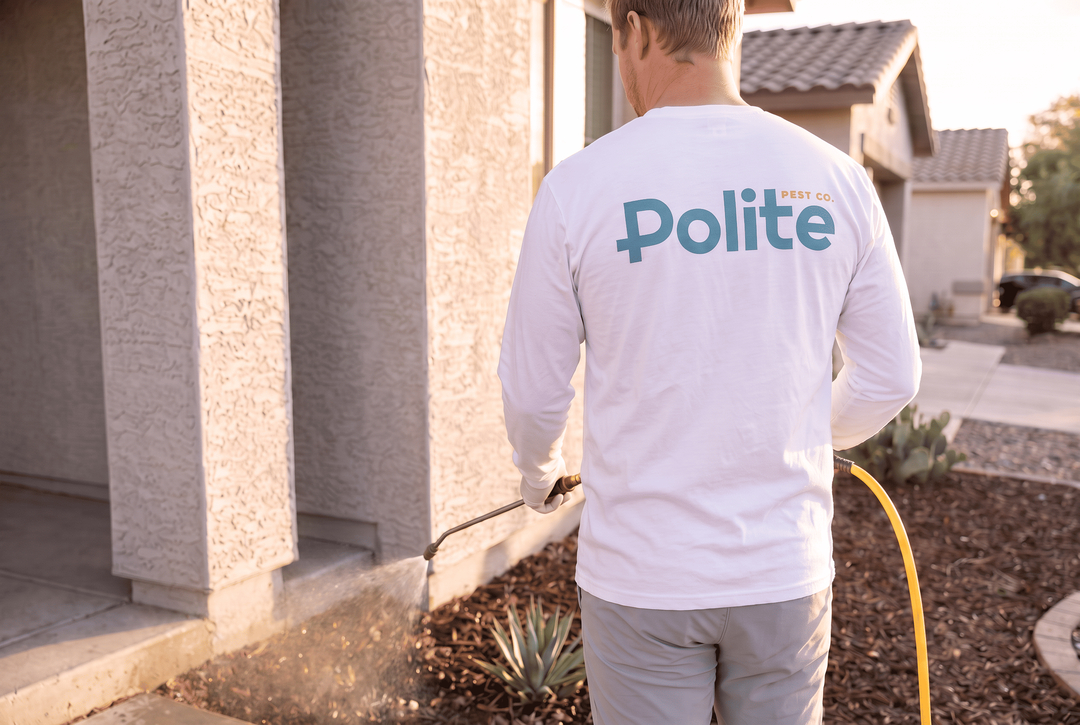 Polite Pest Control - Mesa, AZ