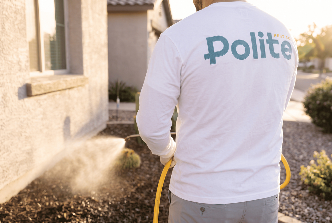 Polite Pest Control - Mesa, AZ