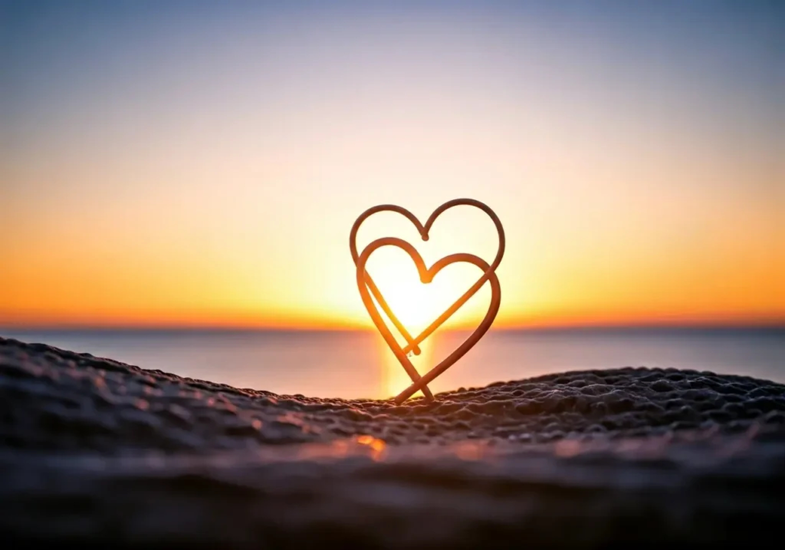 International Therapy Team PLLC Image