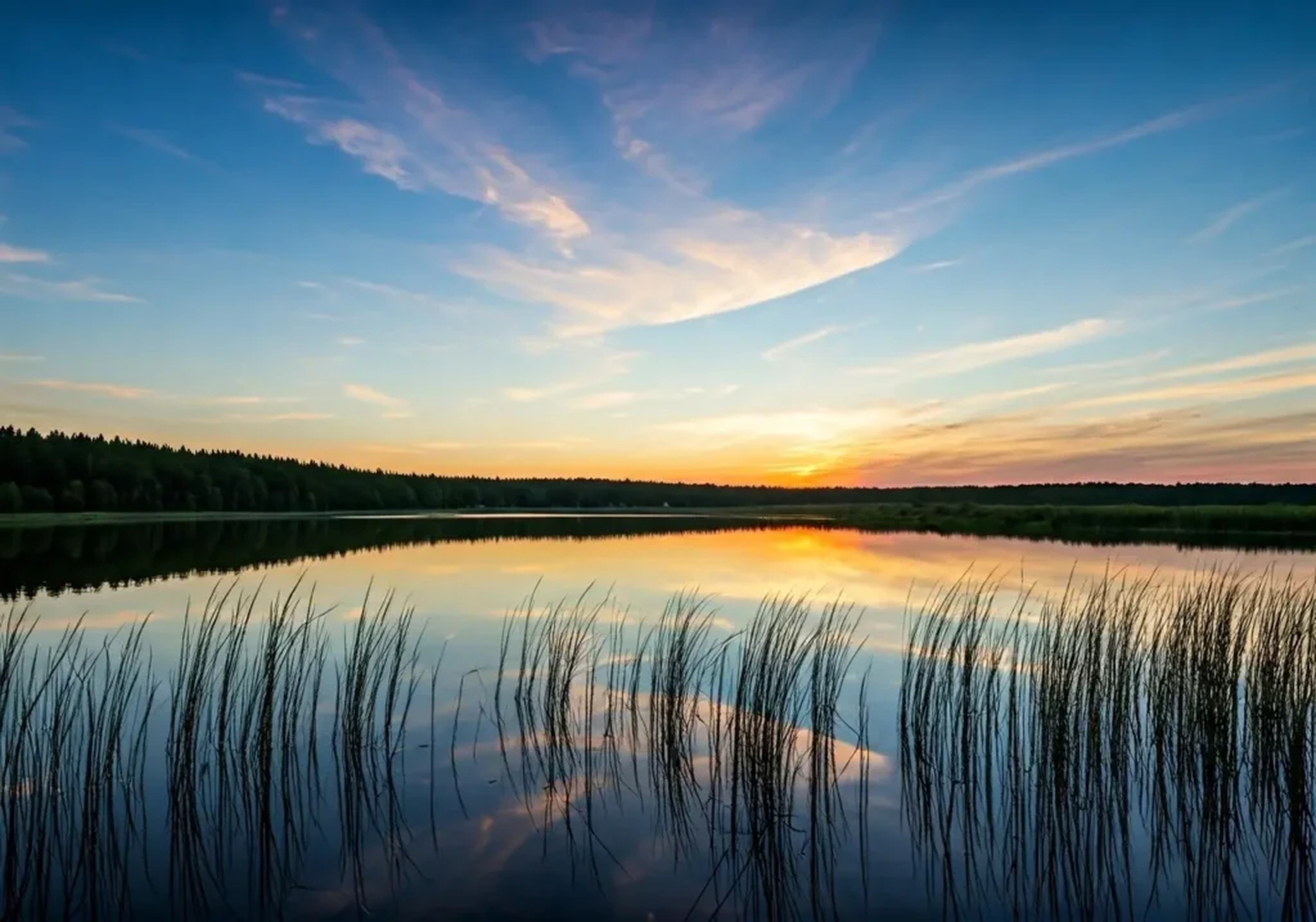 International Therapy Team PLLC Image