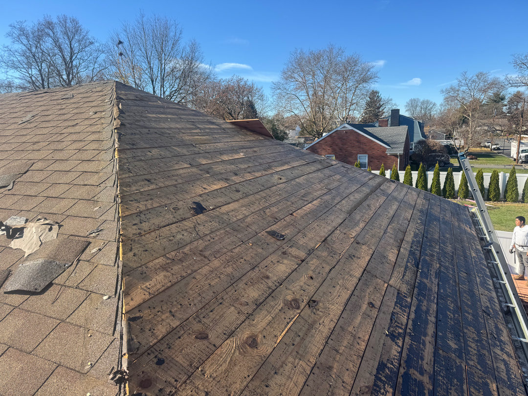 Restorhive Roofing & Restoration Image