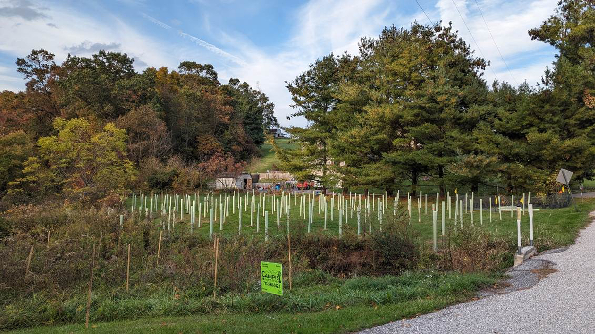 Campisi Property Service Image