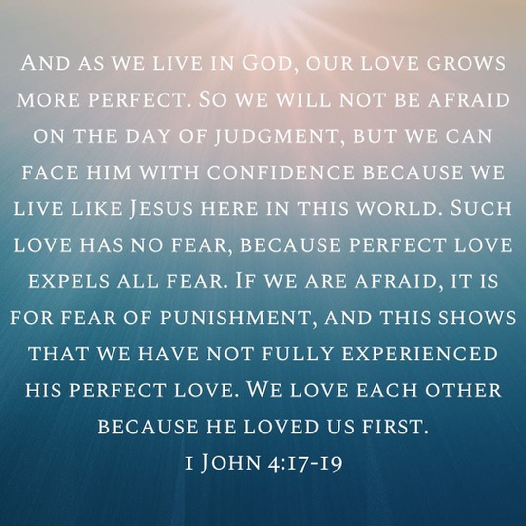 Campisi Property Service Image