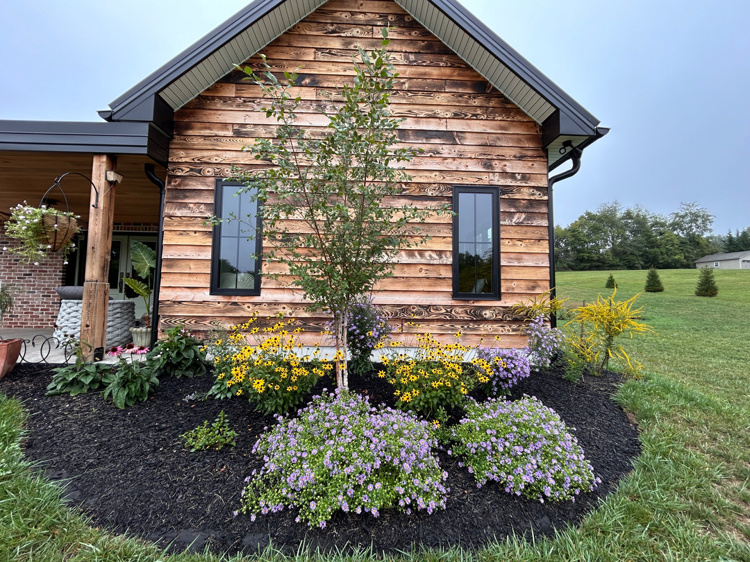 Campisi Property Service Image