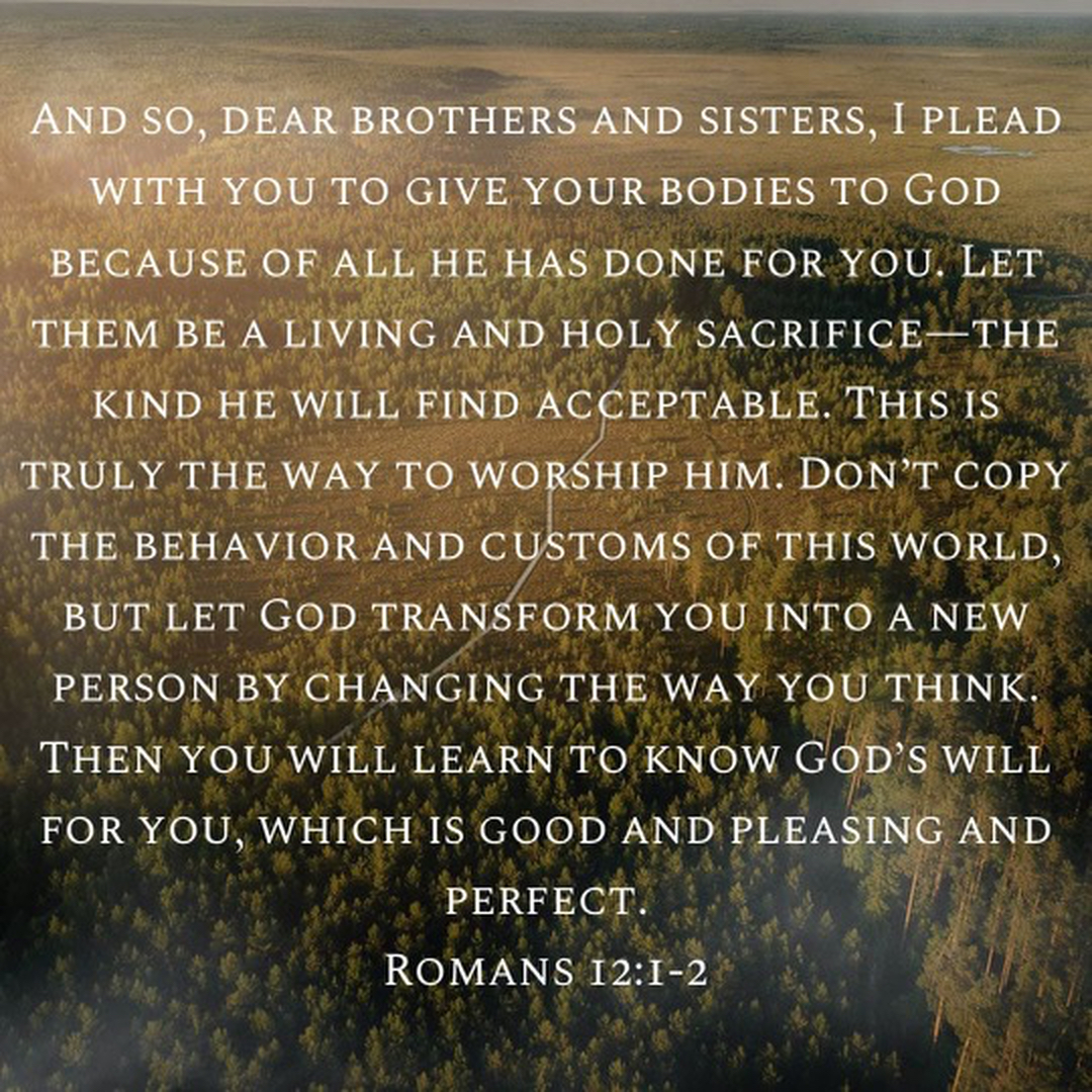 Campisi Property Service Image