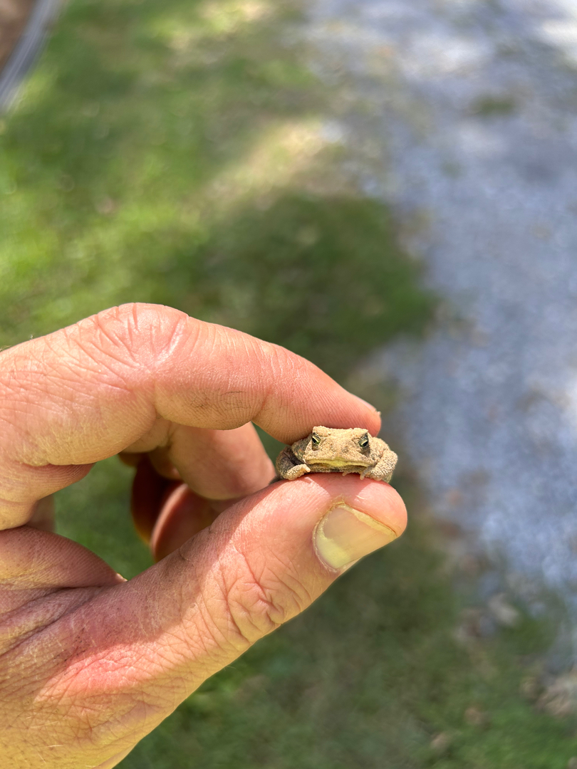 Campisi Property Service Image