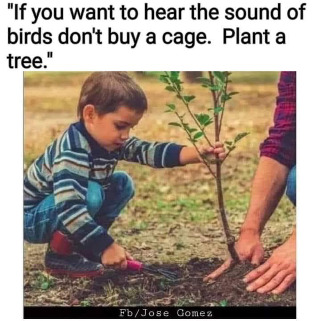 Campisi Property Service Image