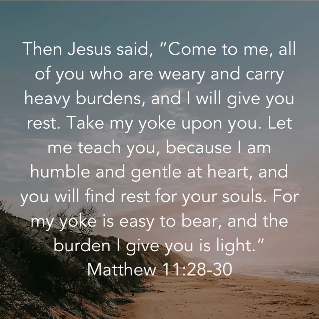 Campisi Property Service Image