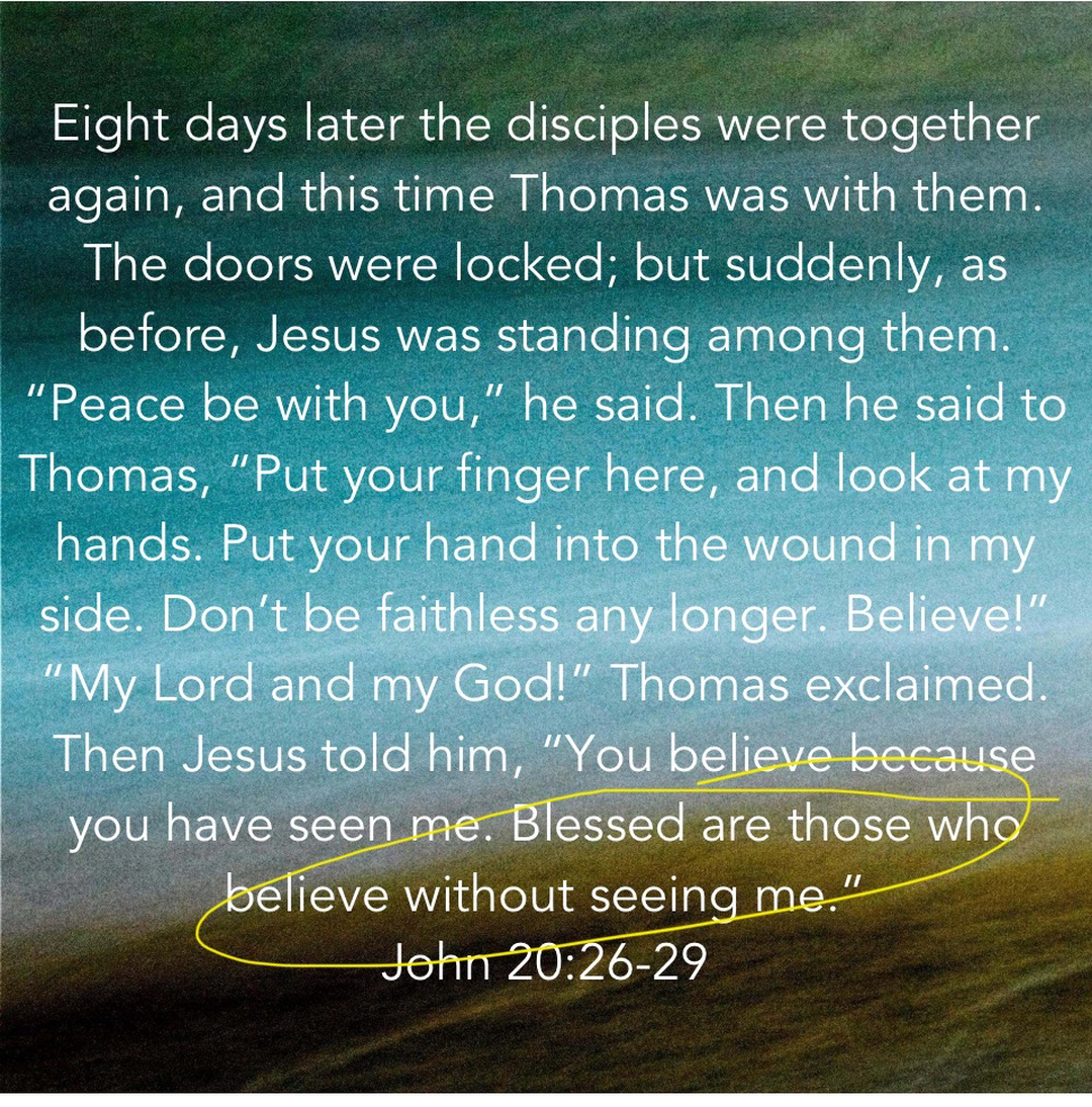 Campisi Property Service Image