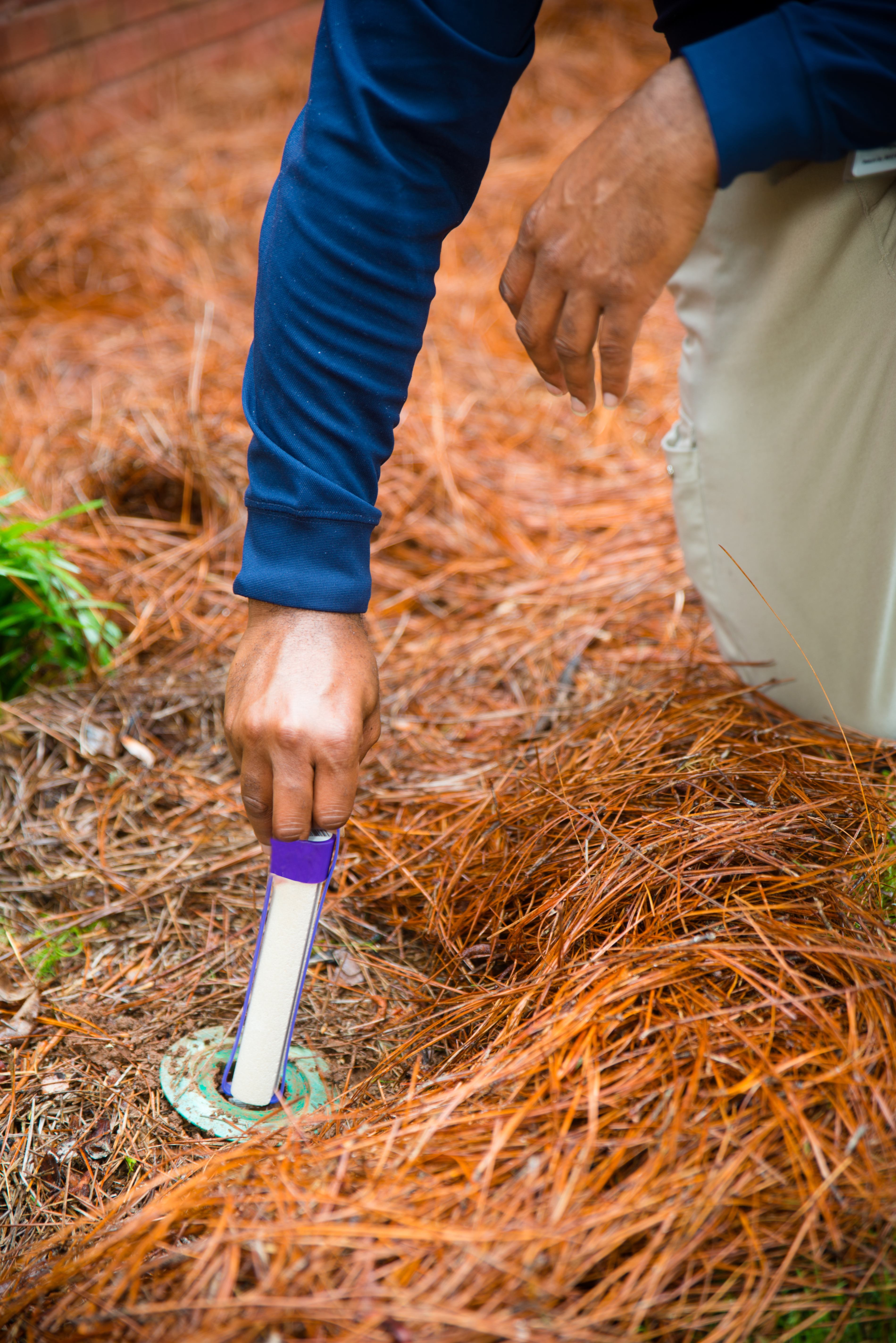 Arrow Exterminators - Summerfield, FL