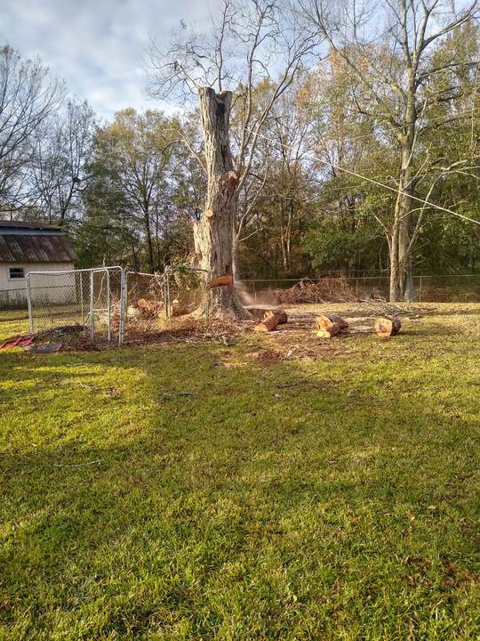 4A Tree Experts - Huntsville, TX