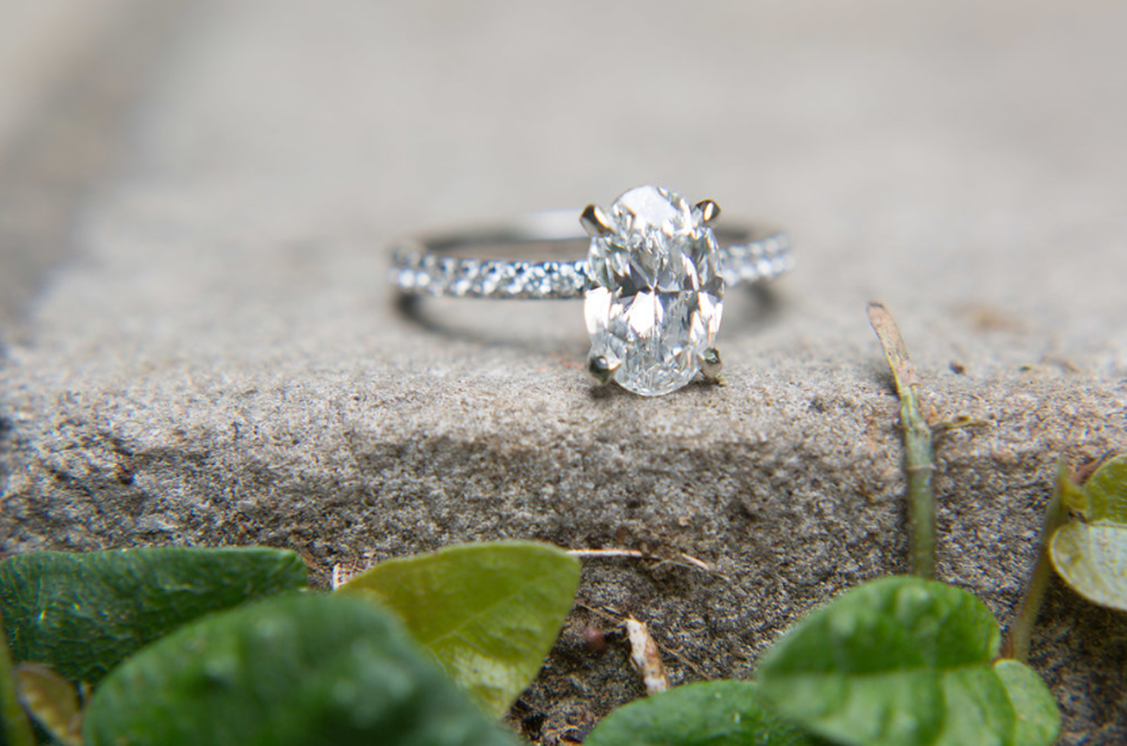 Solomon Brothers Jewelers Image