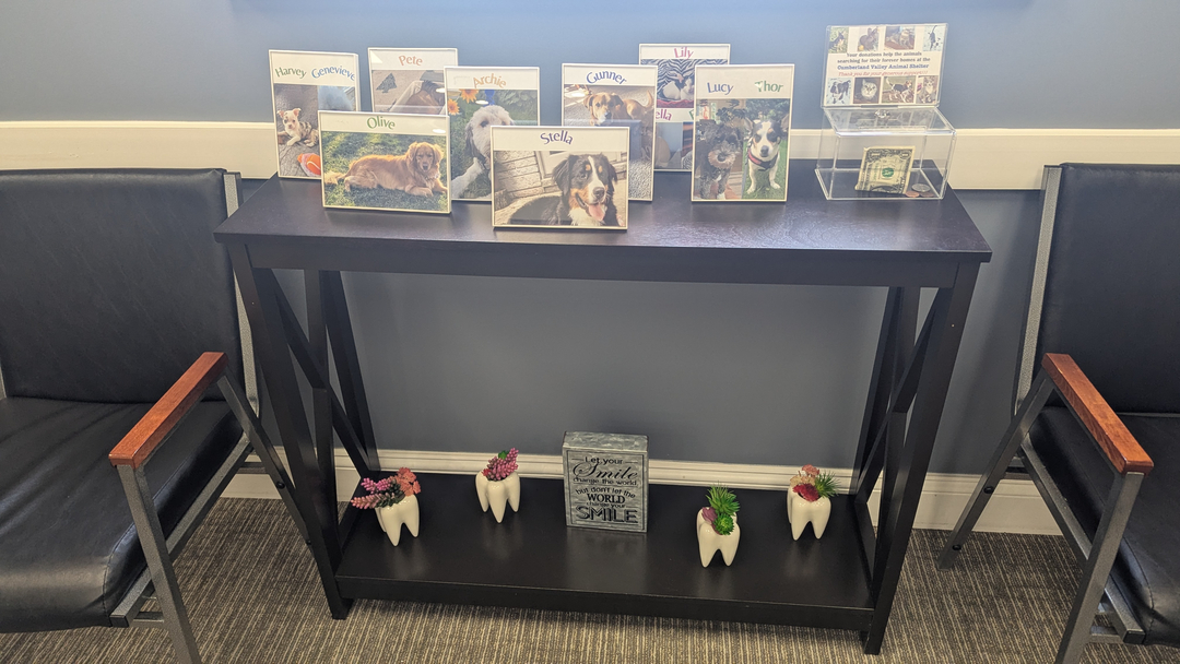 Wolter Advanced Dental Care Image