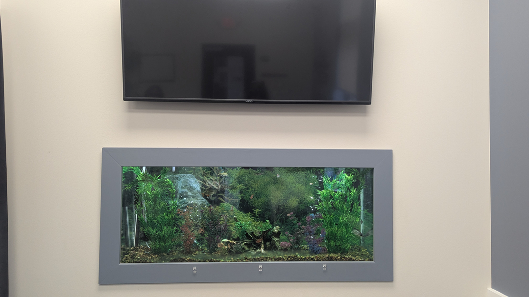 Wolter Advanced Dental Care Image