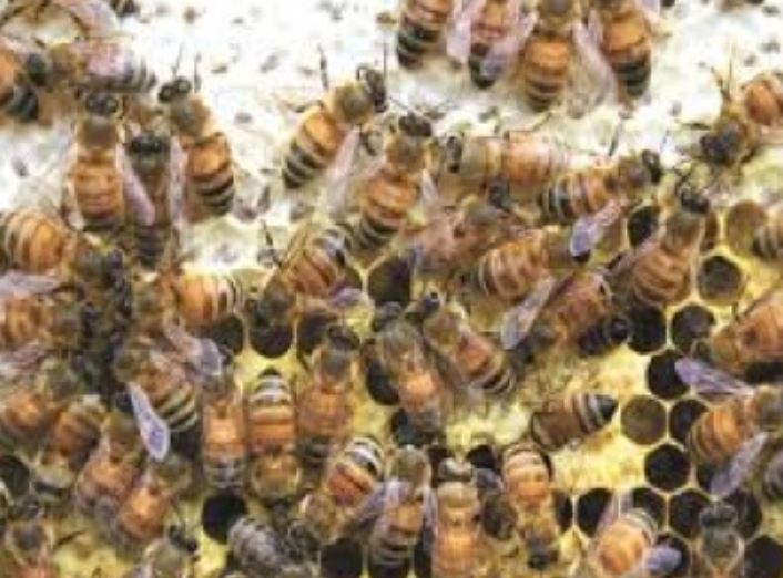 Greg's Heating & AC - Orland, CA