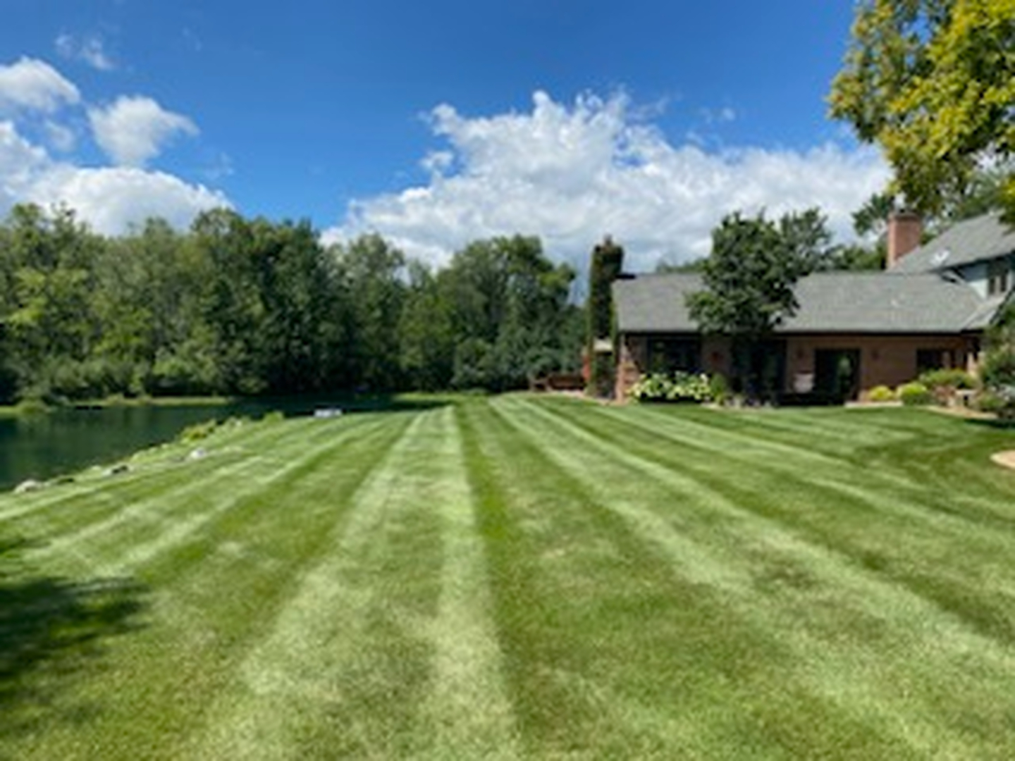 Wintergreen Site Management Image