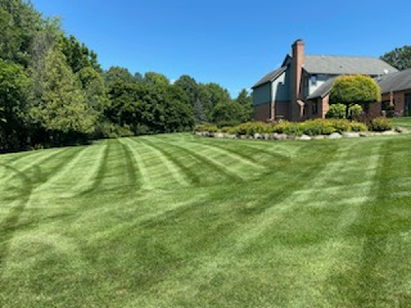 Wintergreen Site Management Image