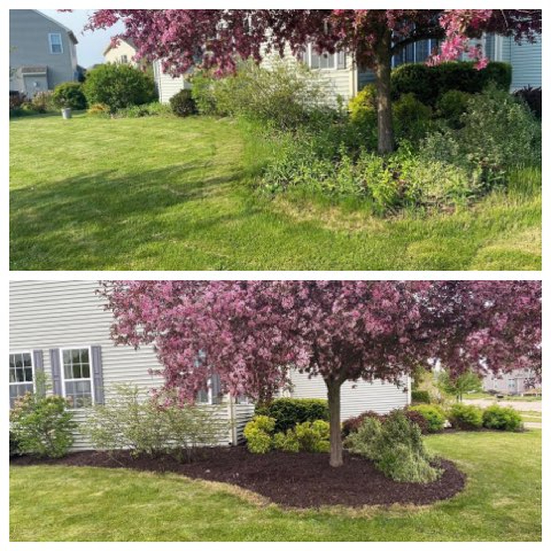 Wintergreen Site Management Image