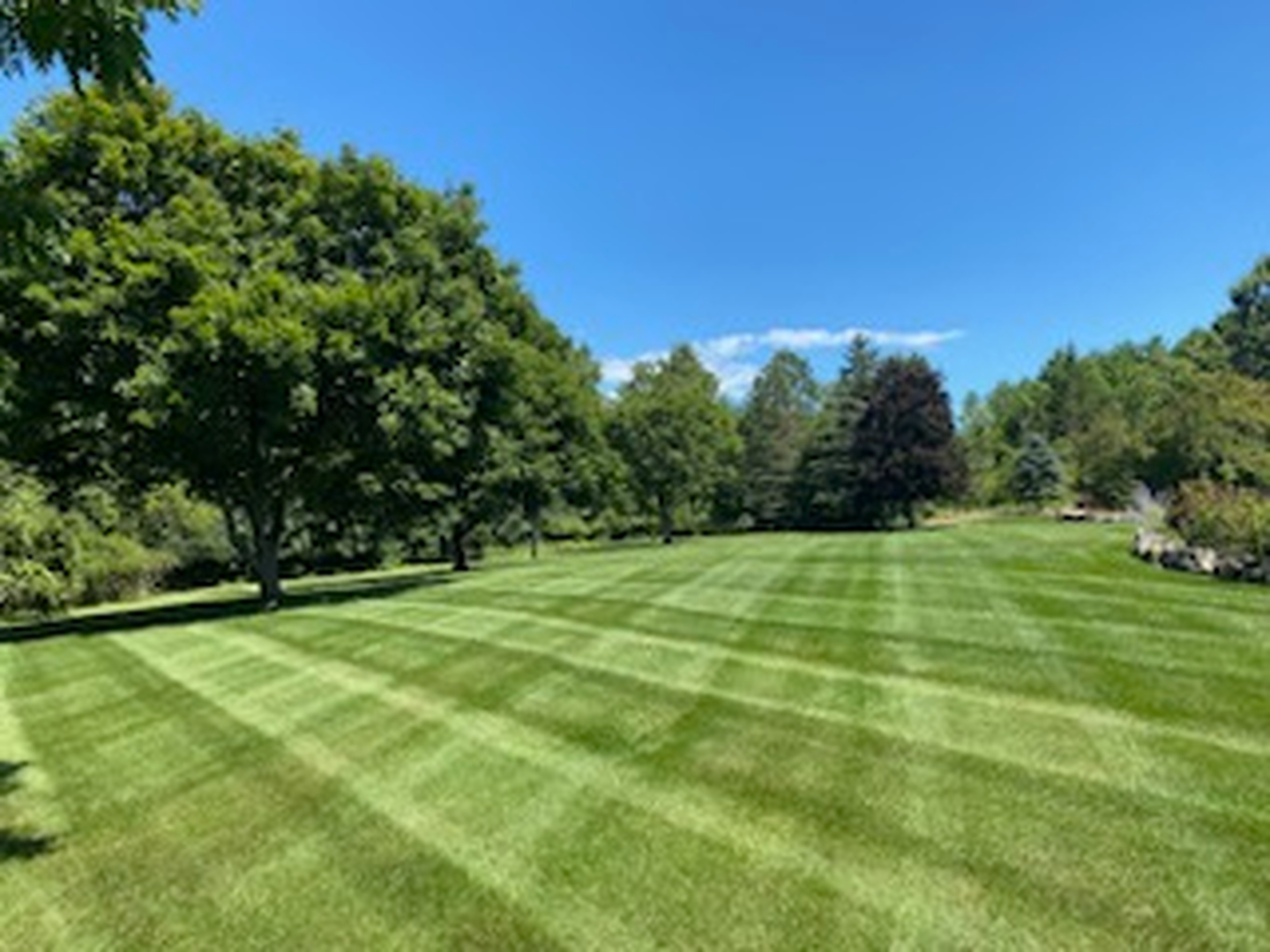 Wintergreen Site Management Image