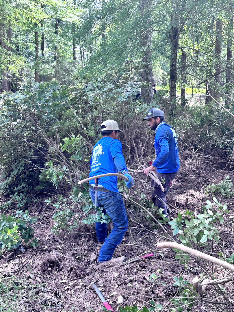 Winburn Landscaping Image