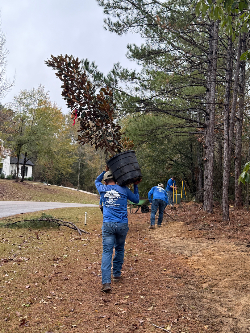 Winburn Landscaping Image