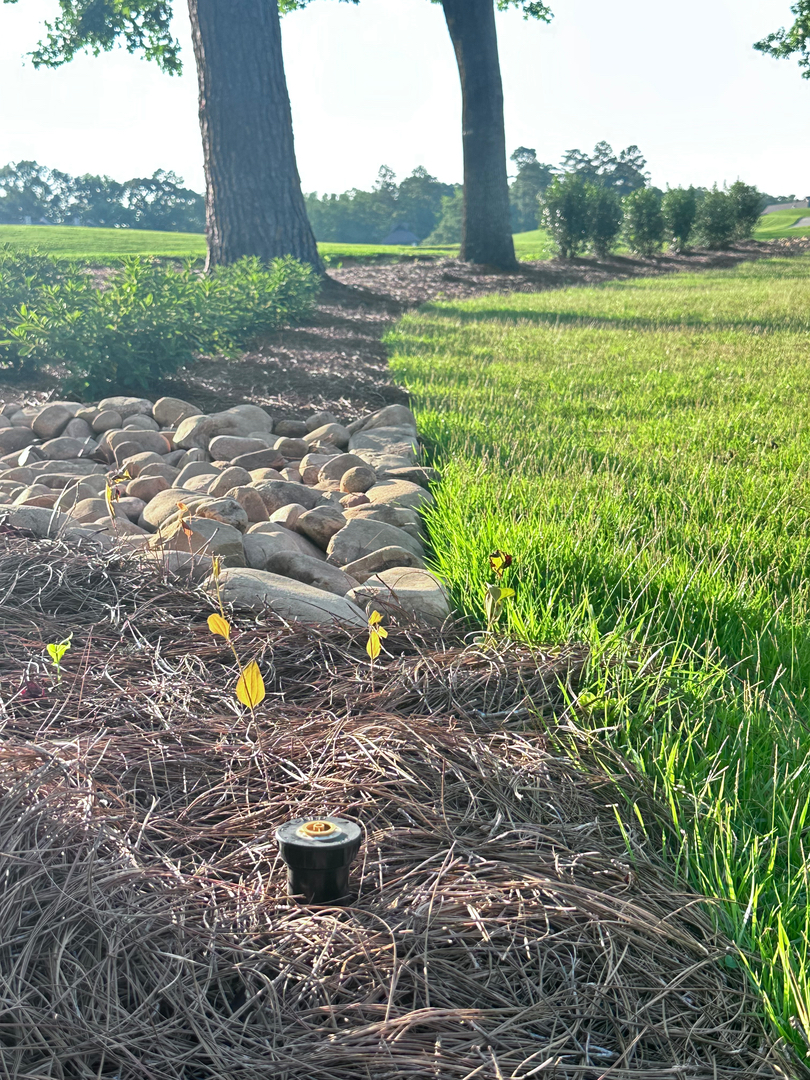 Winburn Landscaping Image