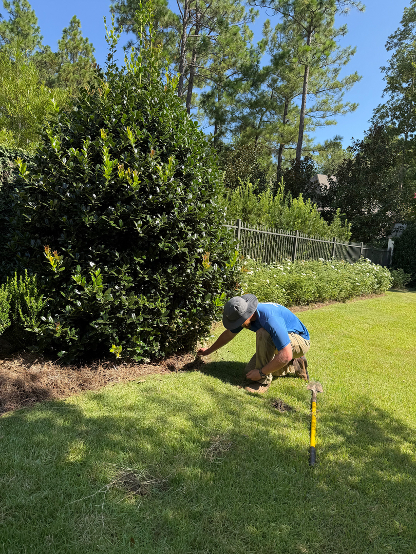 Winburn Landscaping Image