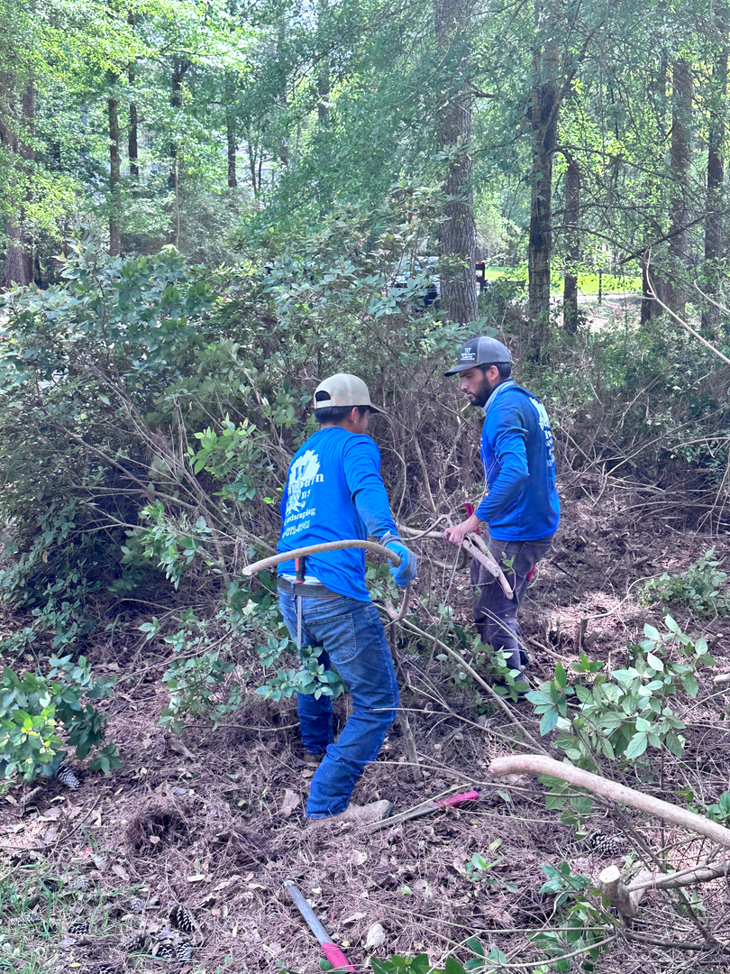 Winburn Landscaping Image