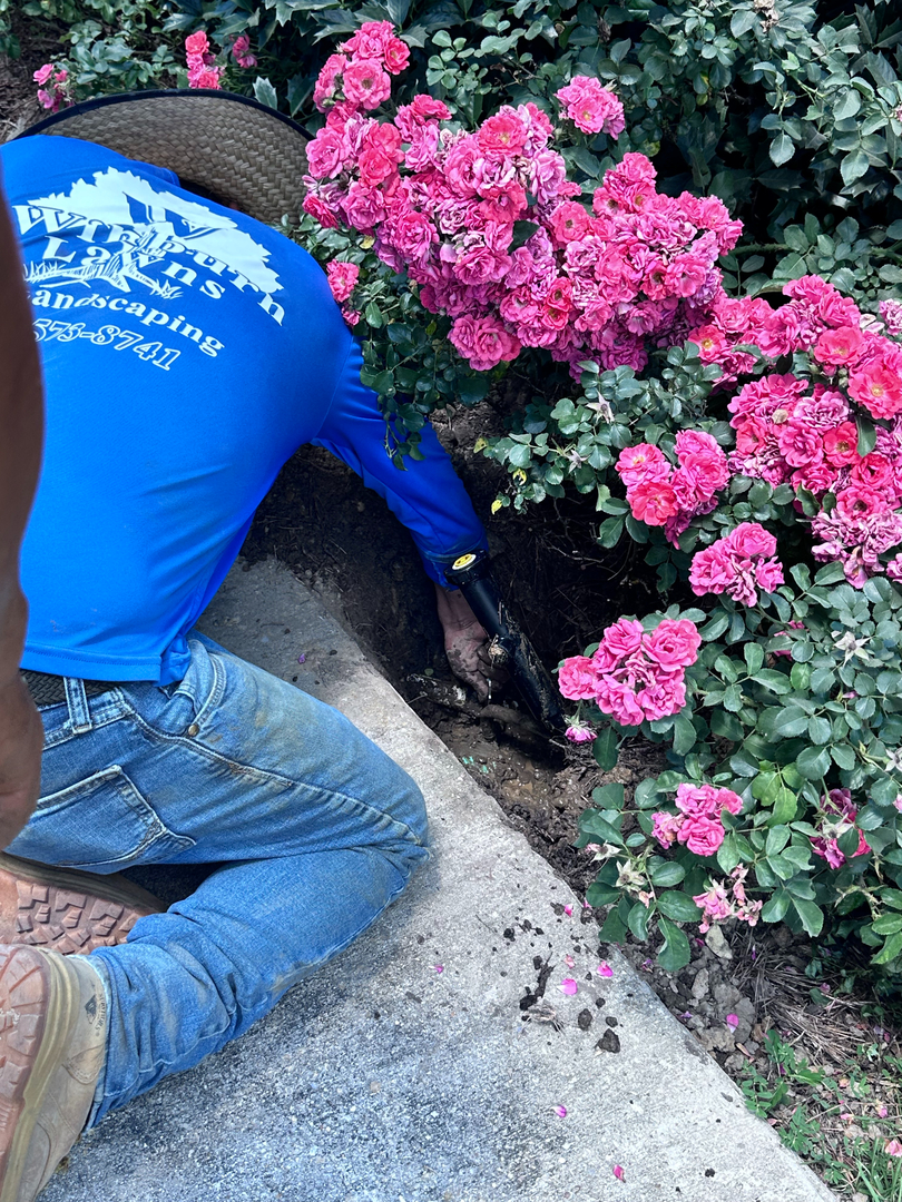 Winburn Landscaping Image