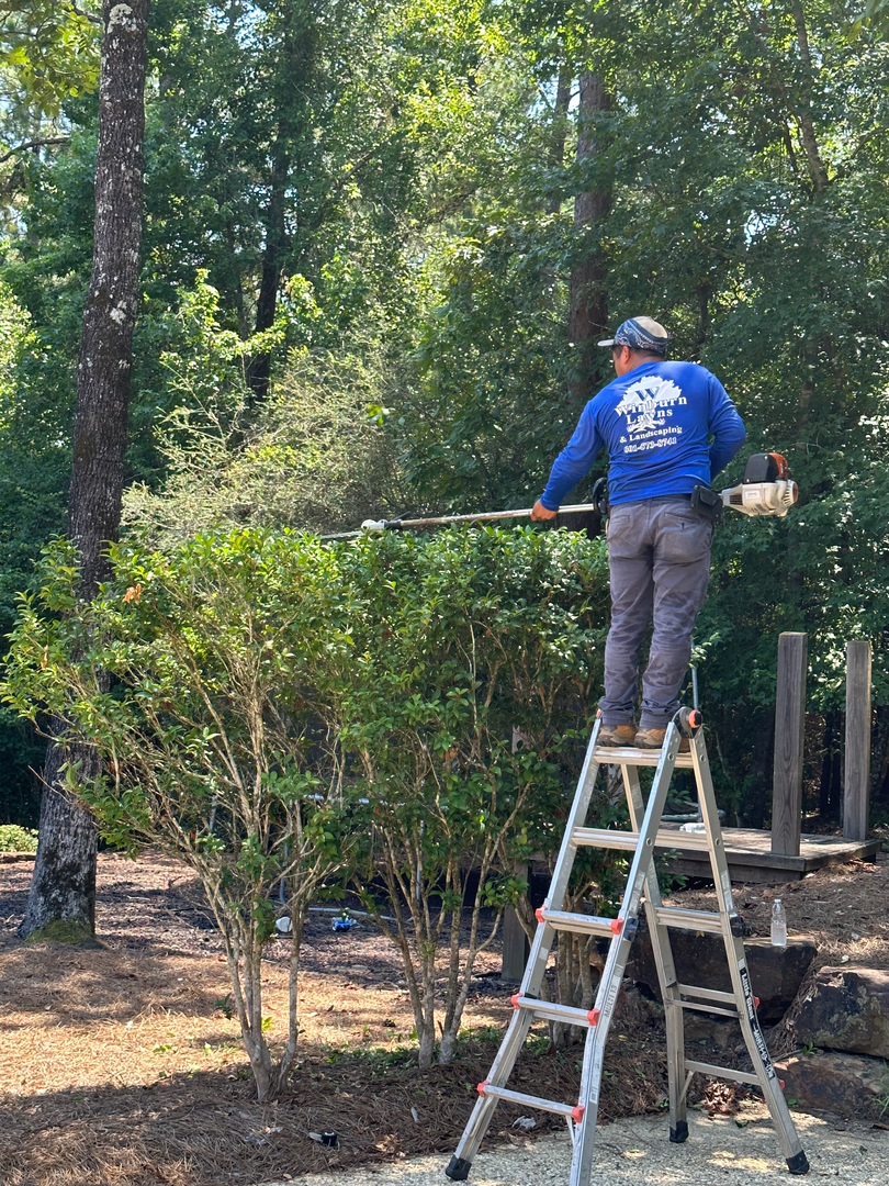 Winburn Landscaping Image