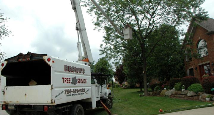 Brown's Tree Service - Connellsville, PA