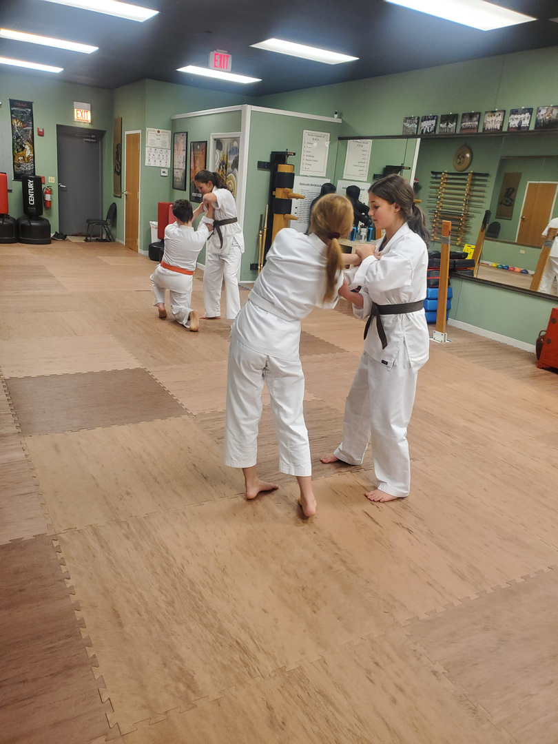Classical Martial Arts Academy Image