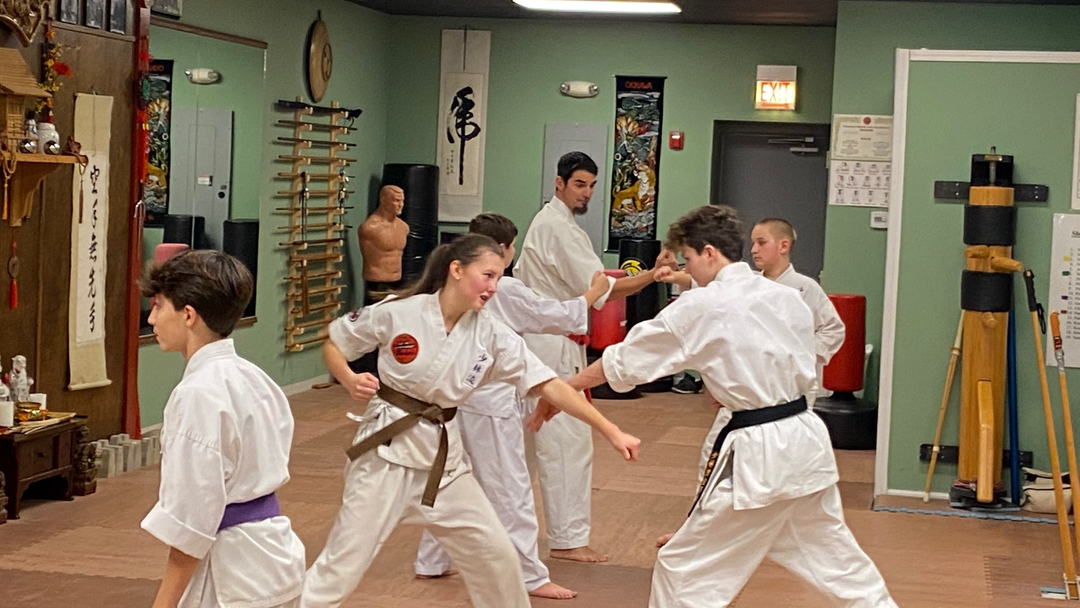 Classical Martial Arts Academy Image
