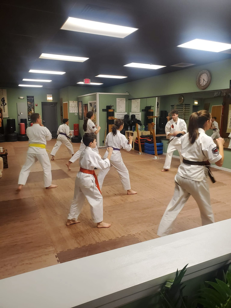 Classical Martial Arts Academy Image