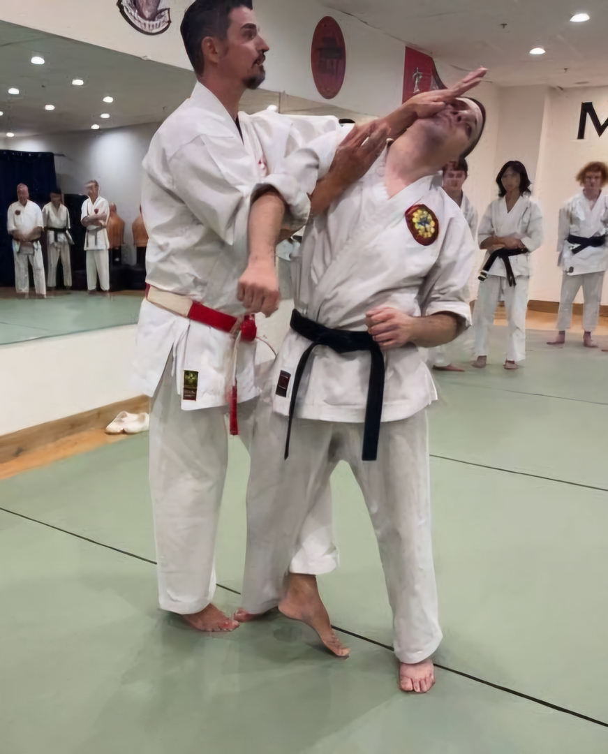 Classical Martial Arts Academy Image