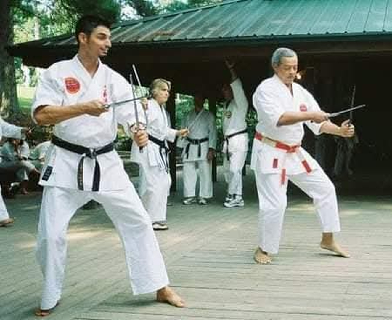 Classical Martial Arts Academy Image