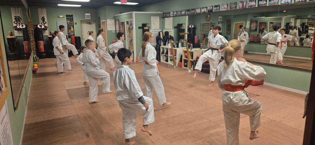 Classical Martial Arts Academy Image