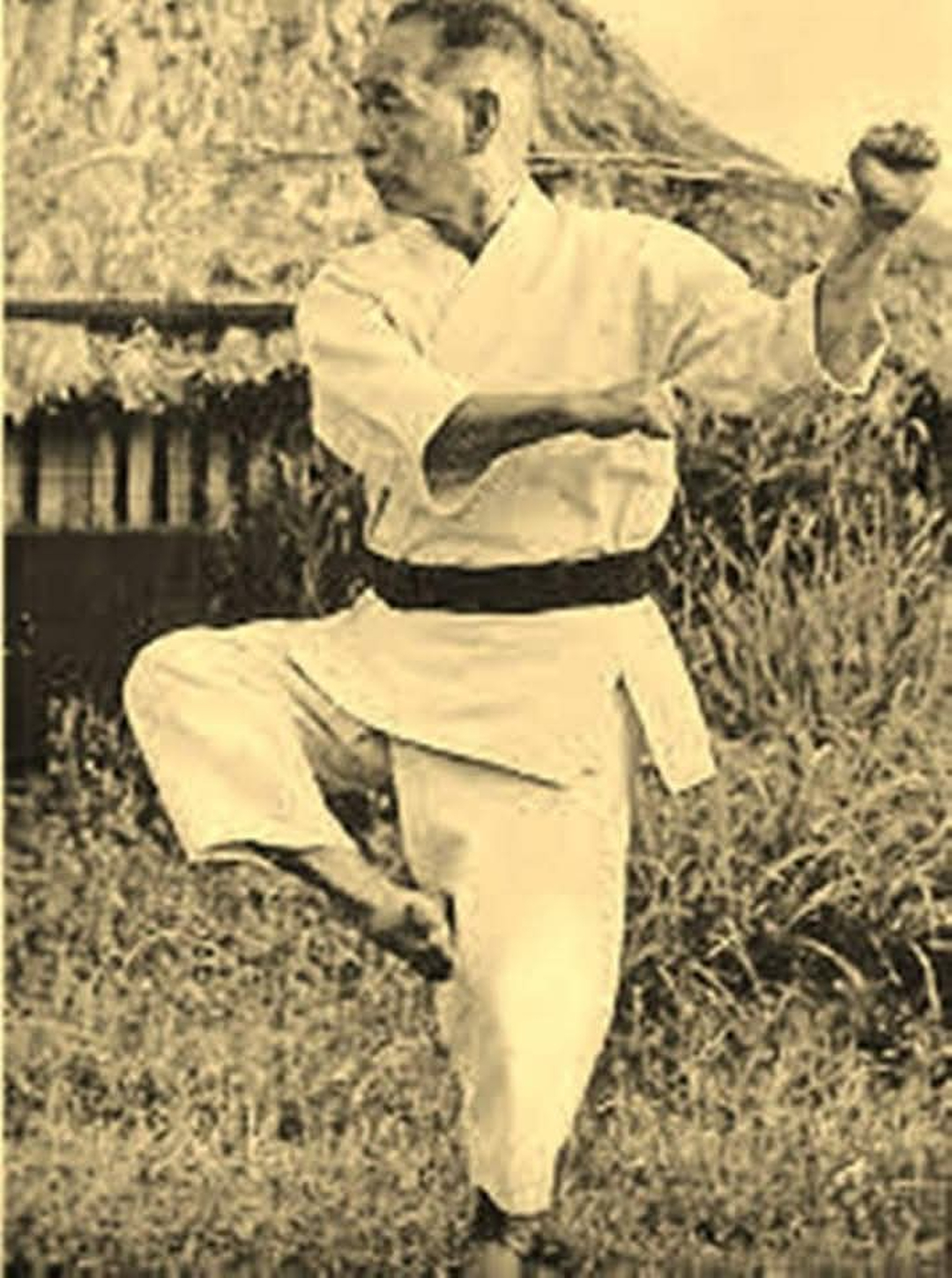 Classical Martial Arts Academy Image