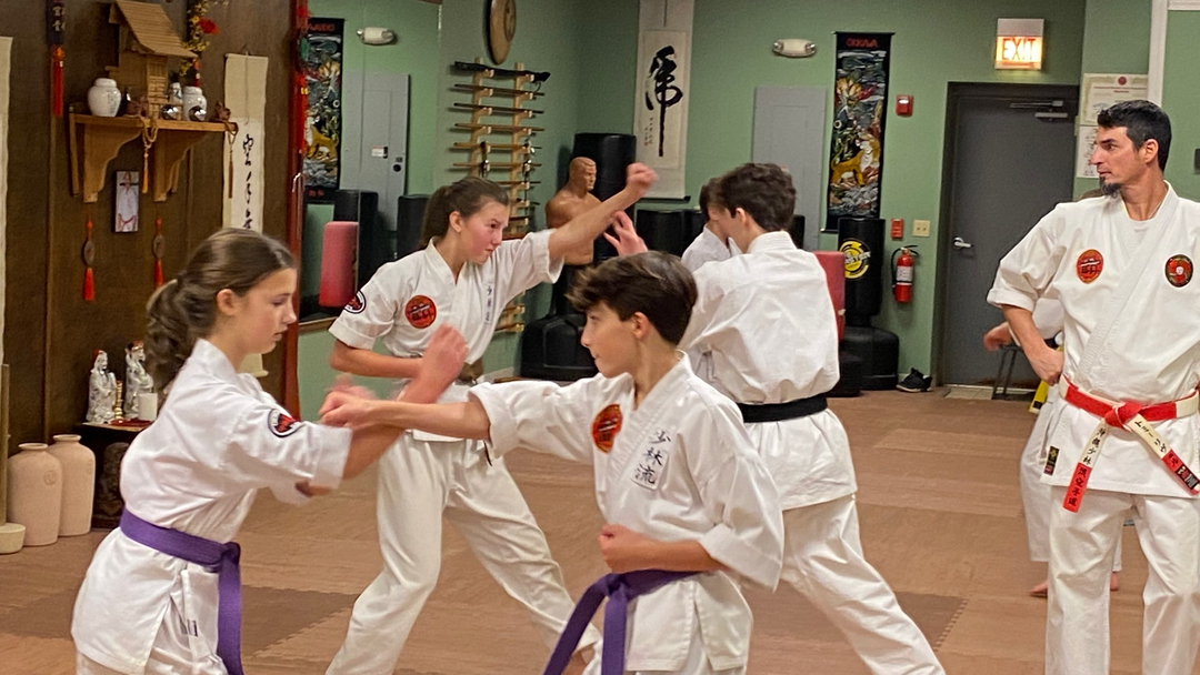 Classical Martial Arts Academy Image
