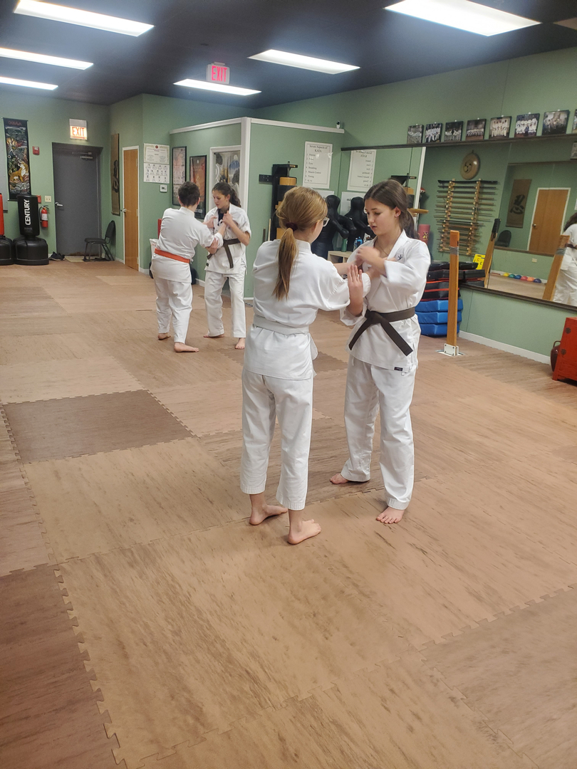 Classical Martial Arts Academy Image